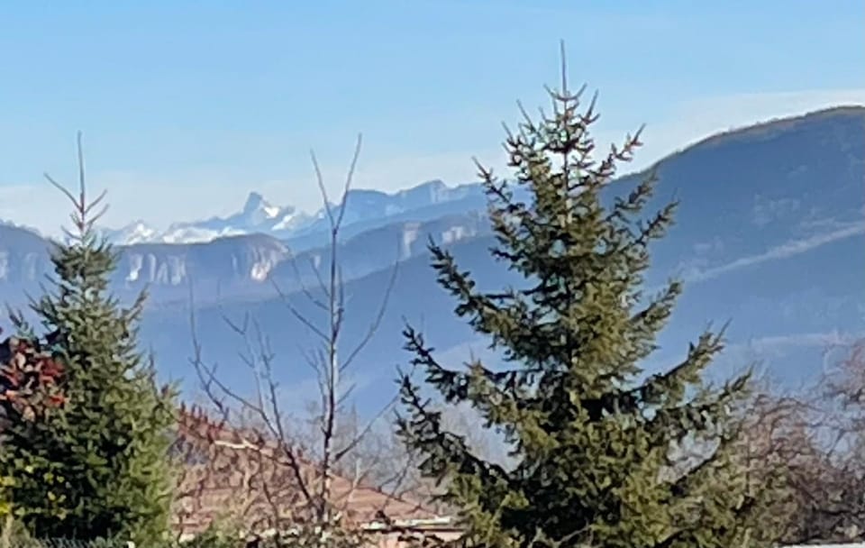 Mountain view
