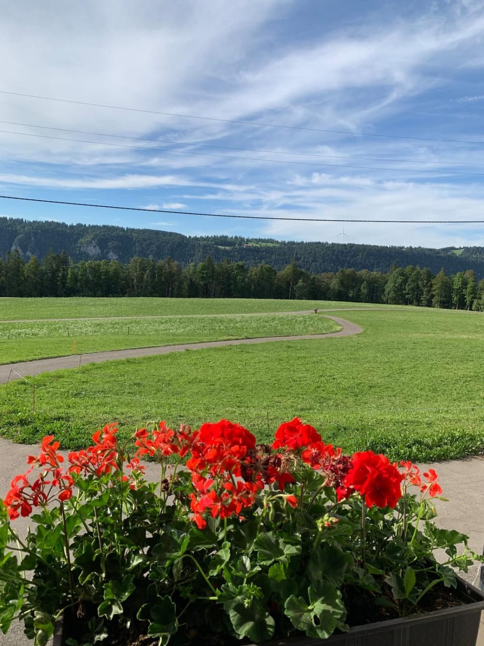 Garden view, Mountain view