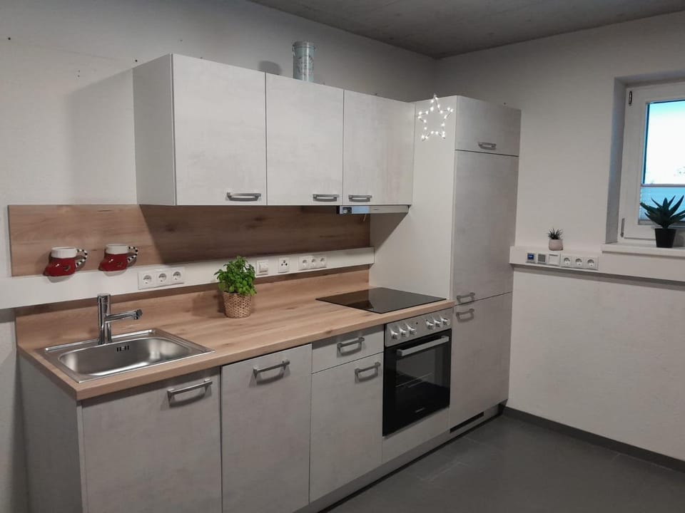 Kitchen or kitchenette, kitchen, kitchen
