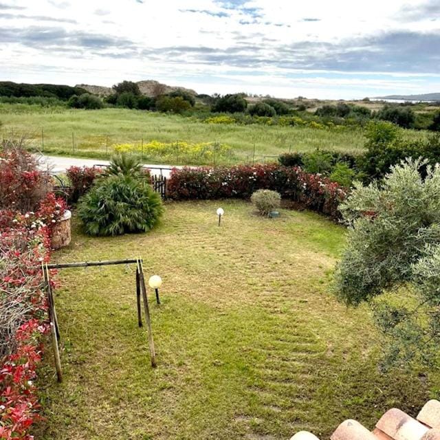 Day, Garden, Garden view