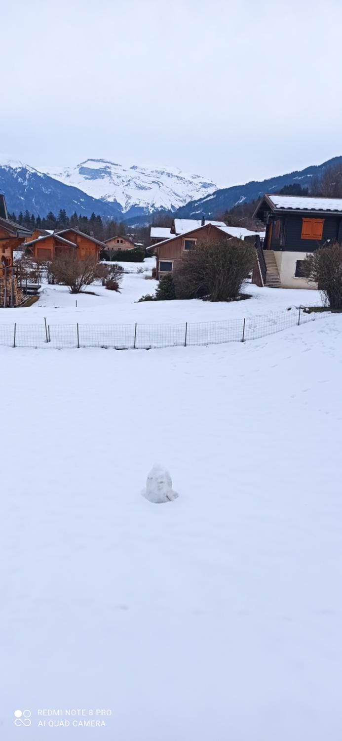 Garden, View (from property/room)