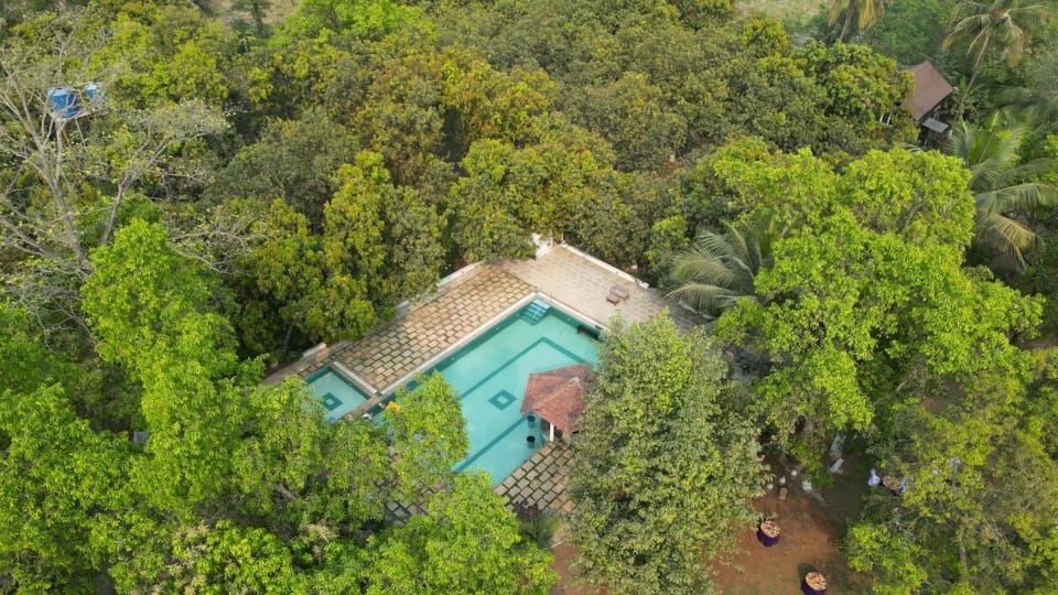 Swimming pool, Entertainment