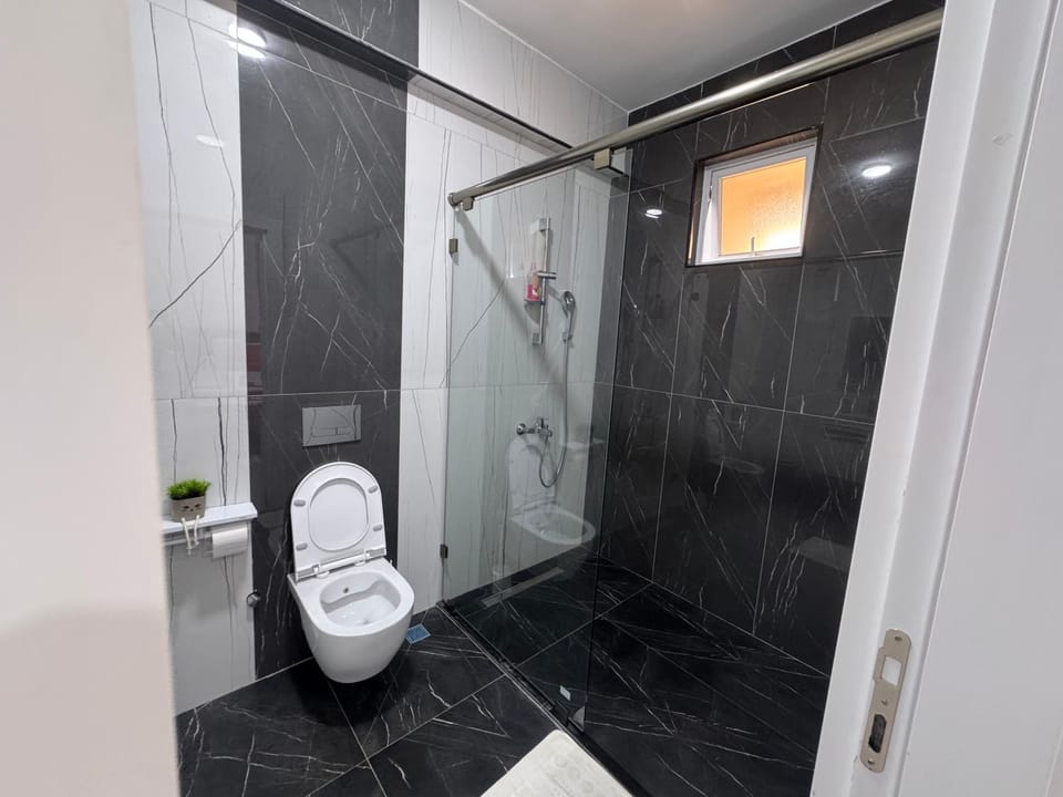 Shower, Toilet, Bathroom, bidet
