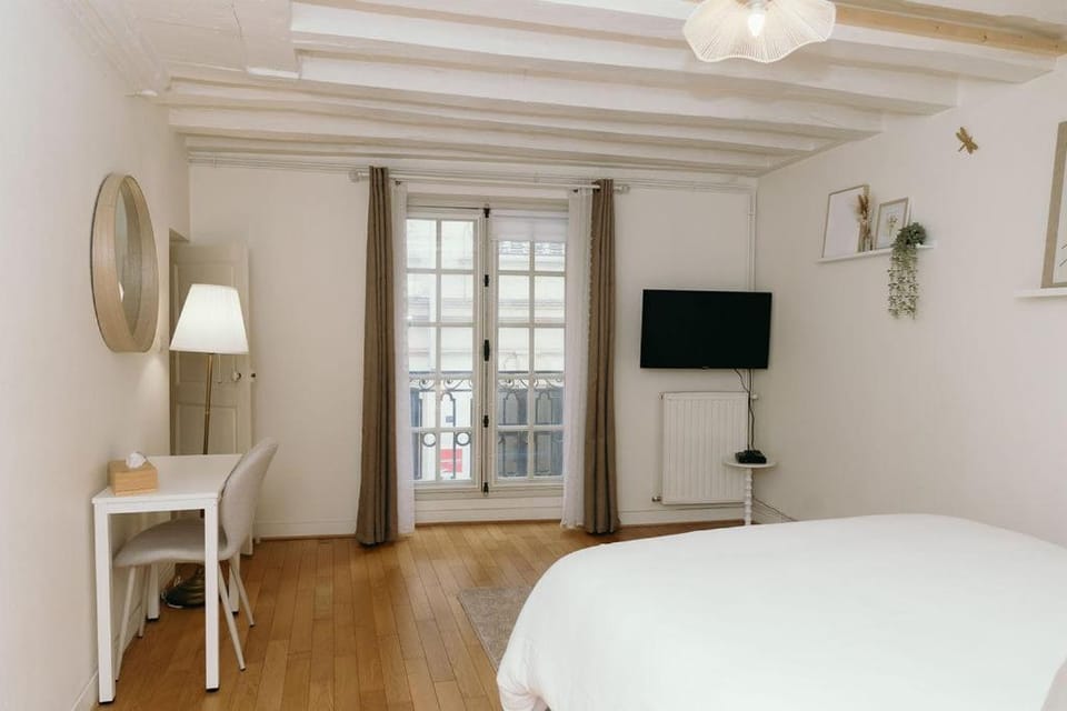 Le Petit Blancler - Plein centre-ville Apartment in Saumur