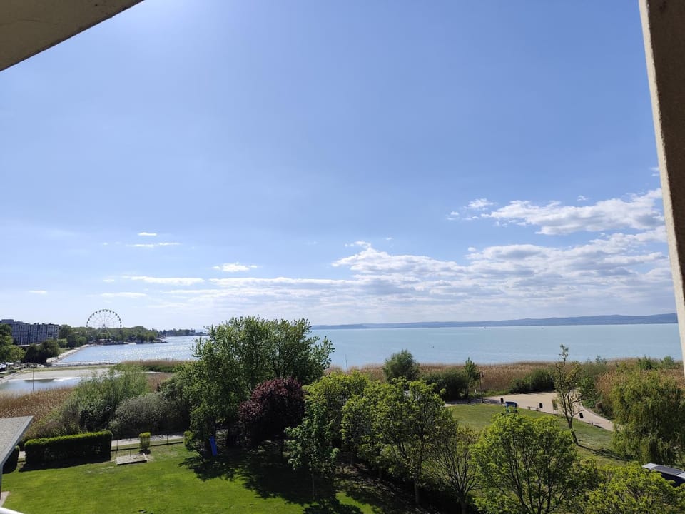 Lake view