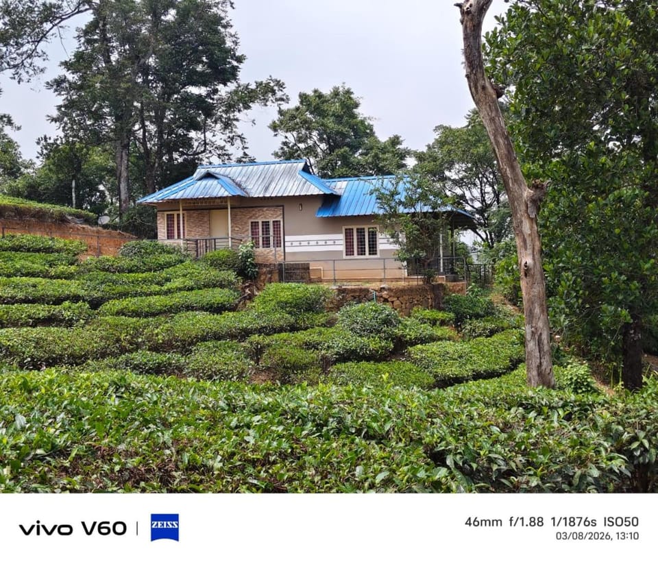Property building, Day, Natural landscape, Garden, Garden view