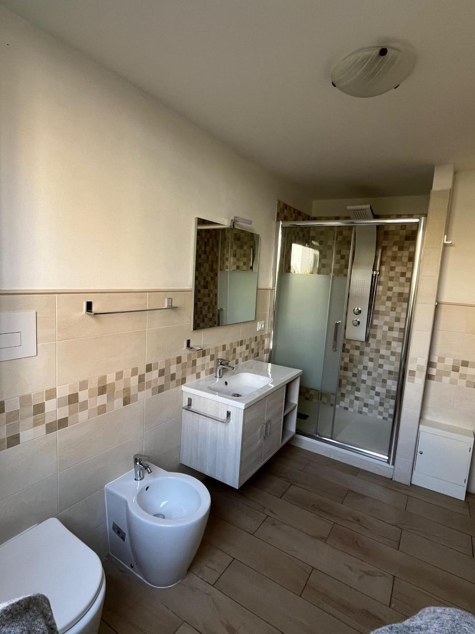 Shower, Toilet, bidet