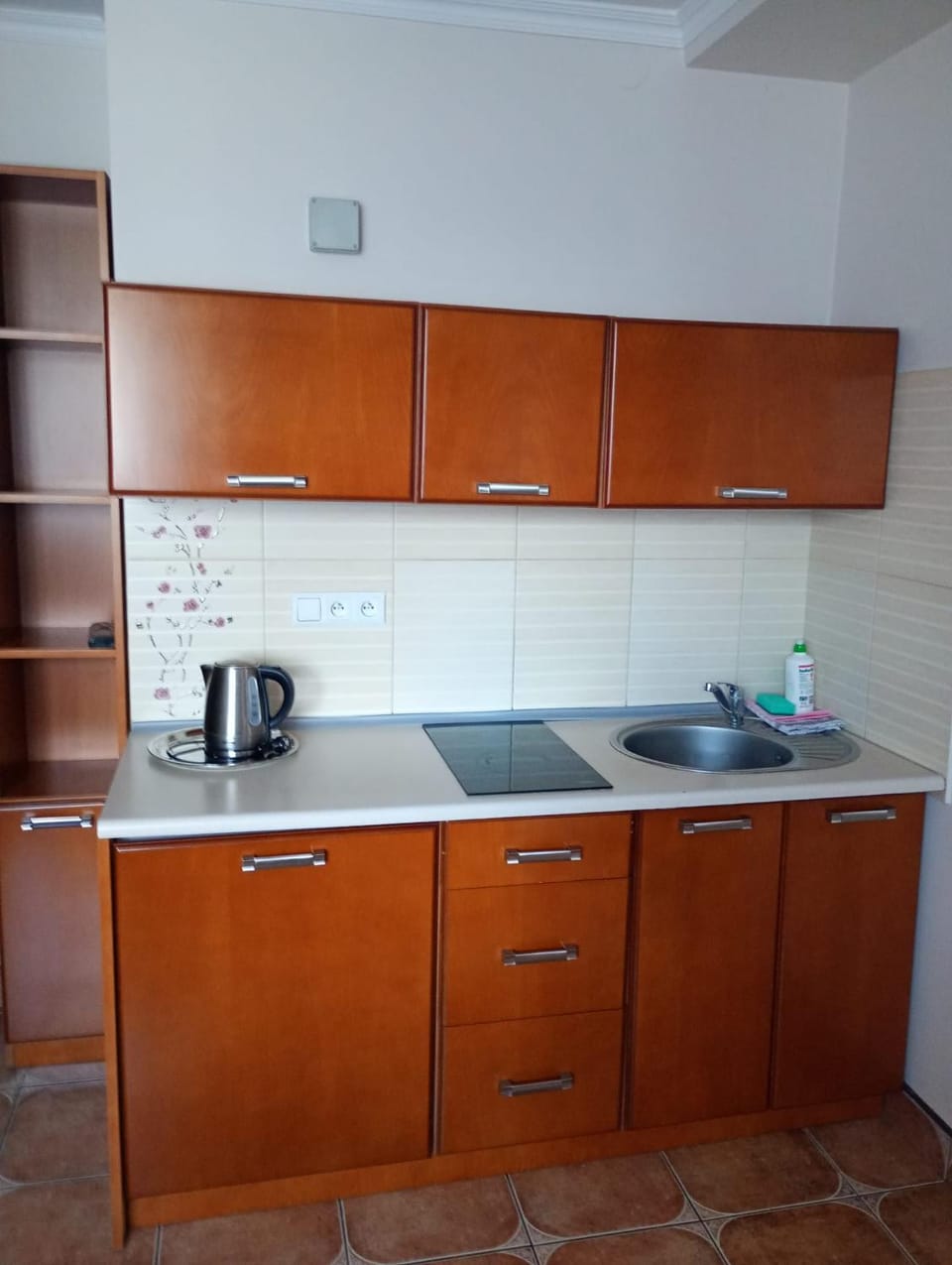 Willa Ornak Apartment in Zakopane