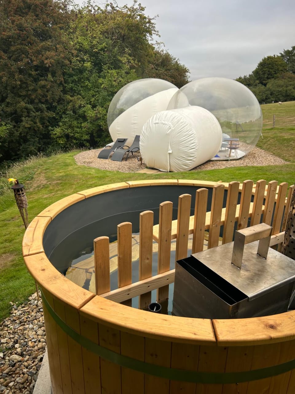 Wooded Bubble Luxury tent in Borough of Swale