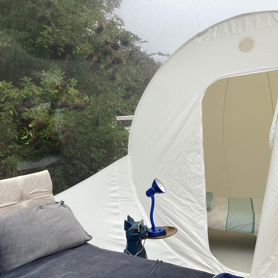 Wooded Bubble Luxury tent in Borough of Swale