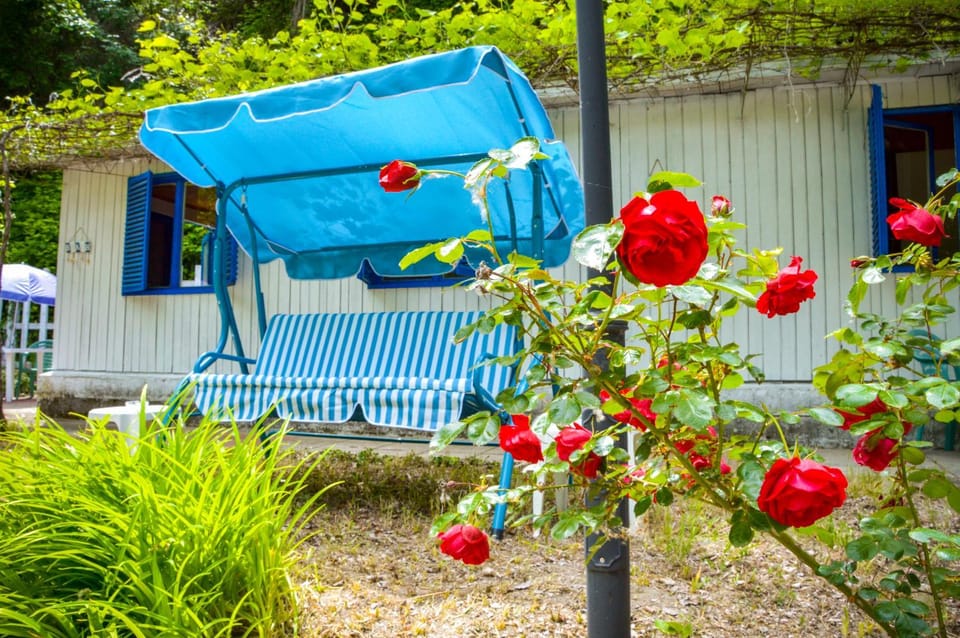 Spring, Day, Garden, Garden view