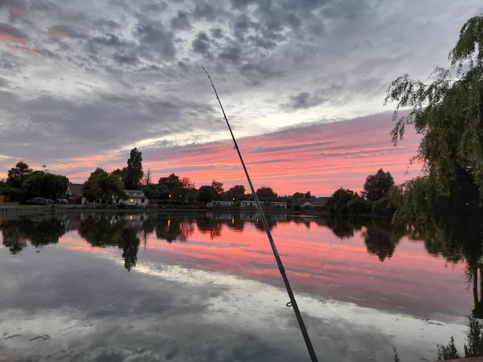 Lake view