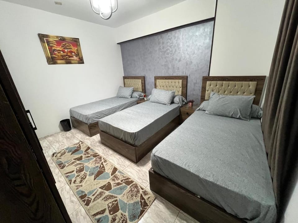 Luxury 3BR Apartment in Downtown Cairo Near Nile Apartment in Cairo