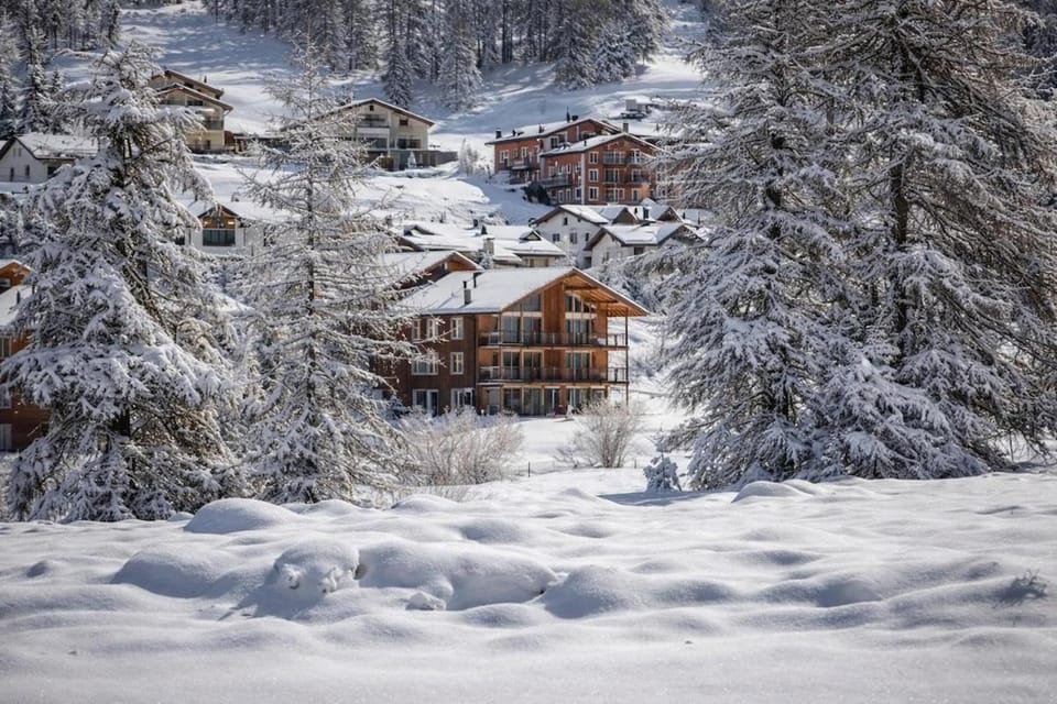 Penthouse duplex with sauna & mountain views Apartment in Samedan