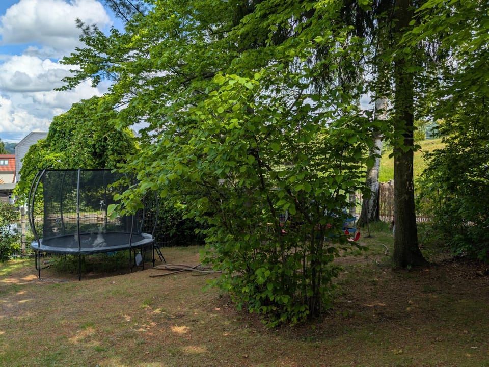 Children play ground, Garden