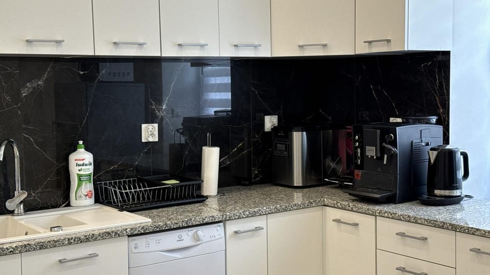 Kitchen or kitchenette, kitchen