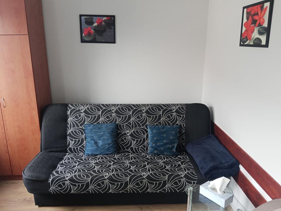 Apartament w centrum Apartment in Wladyslawowo