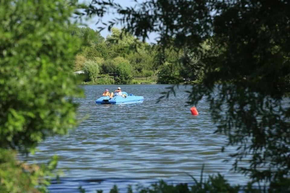 Lake view