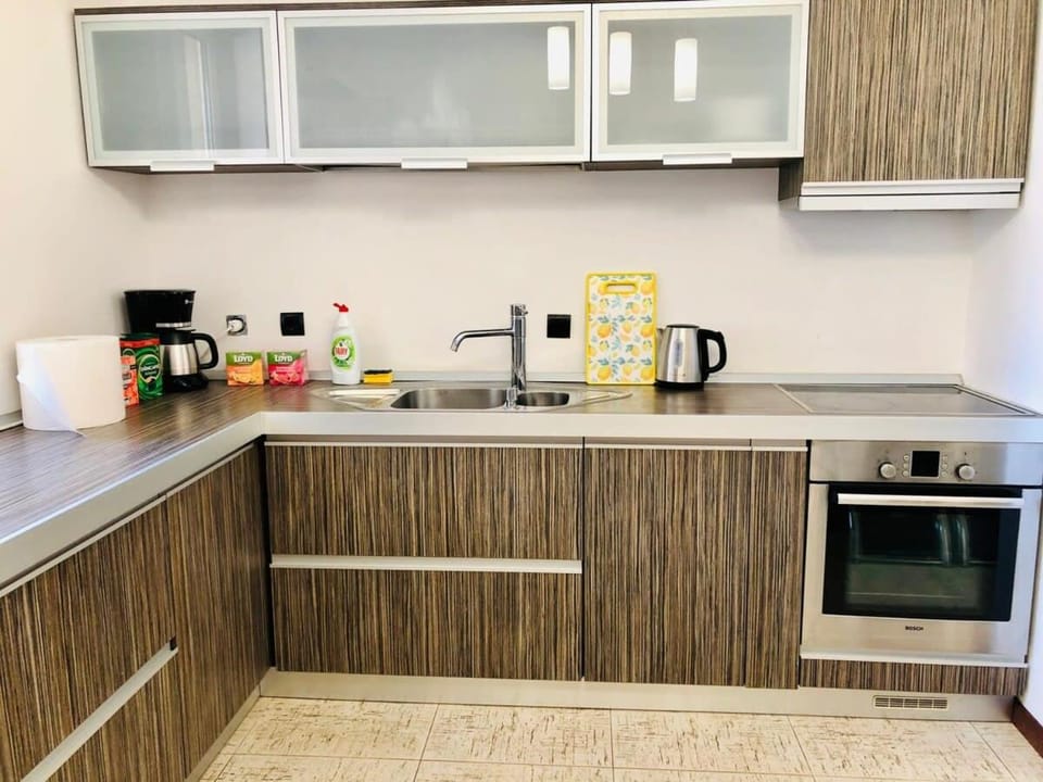 Joy City Stay George 12 Apartment in Timisoara