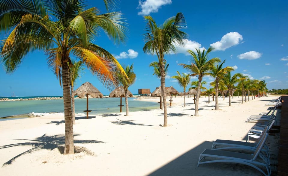 Natural landscape, Beach, Sea view, sunbed