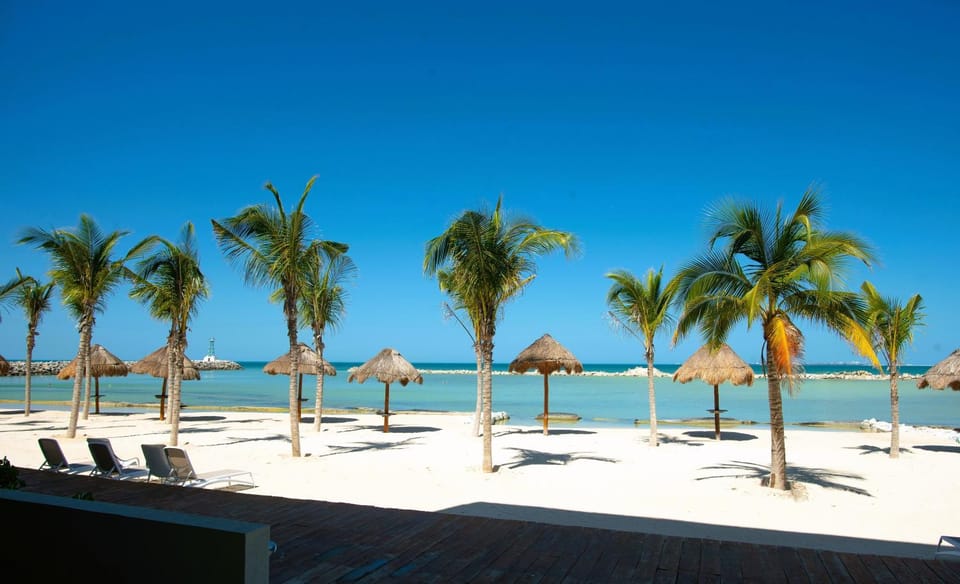 Natural landscape, Beach, Sea view, sunbed