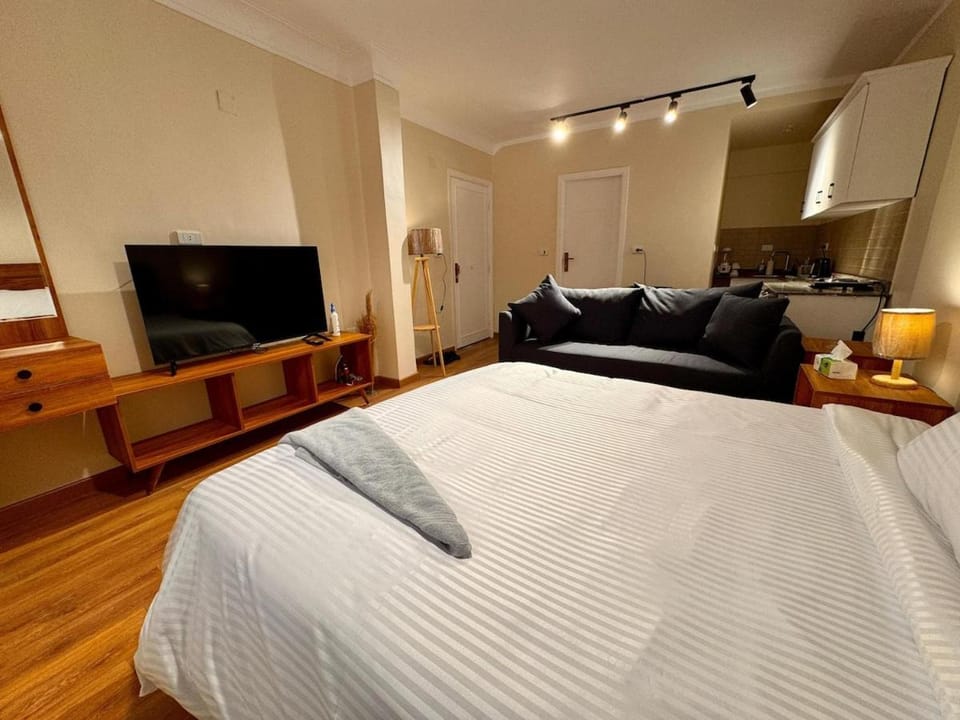 Maadi Modern Private Studio 4 Apartment in Cairo Governorate