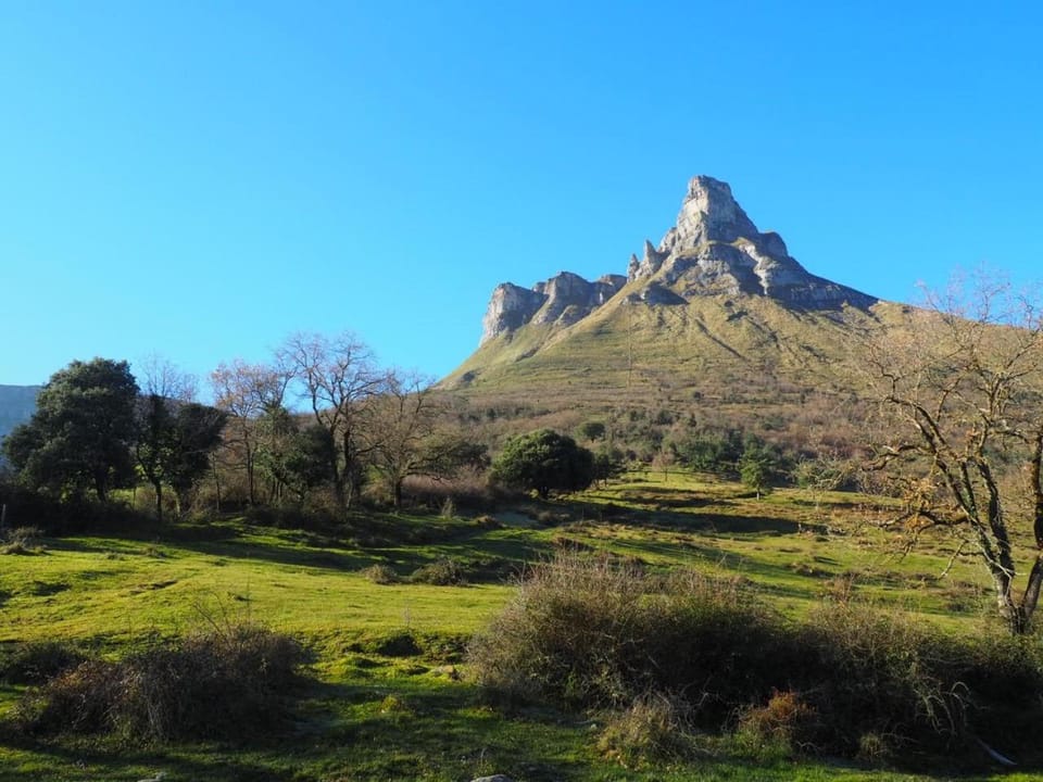 Natural landscape