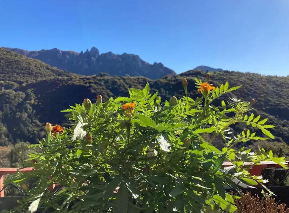 Mountain view