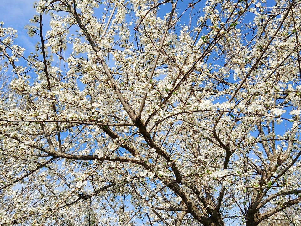 Pianezza Apartment in Porretta Terme