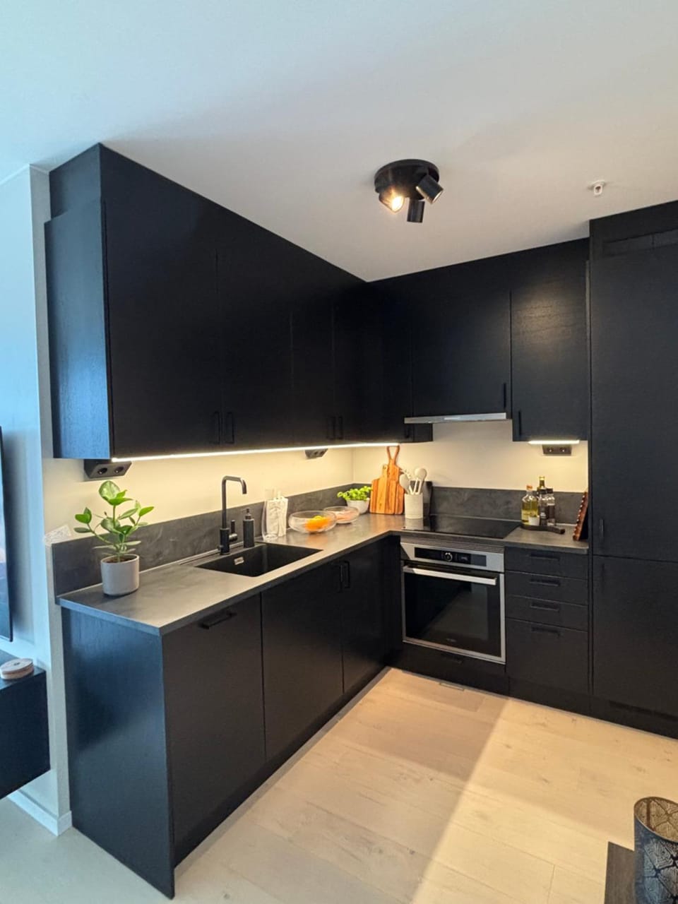 Modern Nordic Apartment with parking garage Apartment in Trondelag