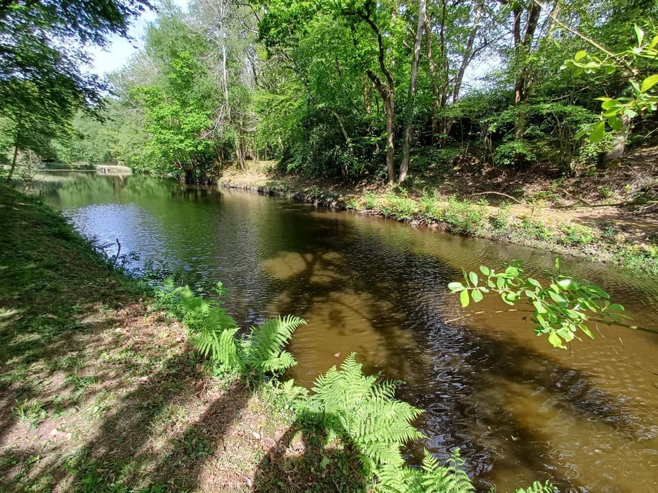 Lake view