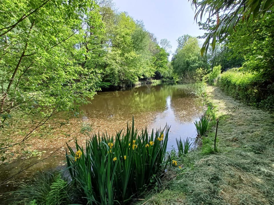 Lake view