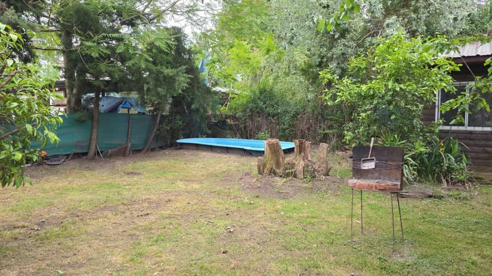 Patio, Garden, Swimming pool