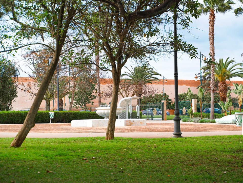 Garden