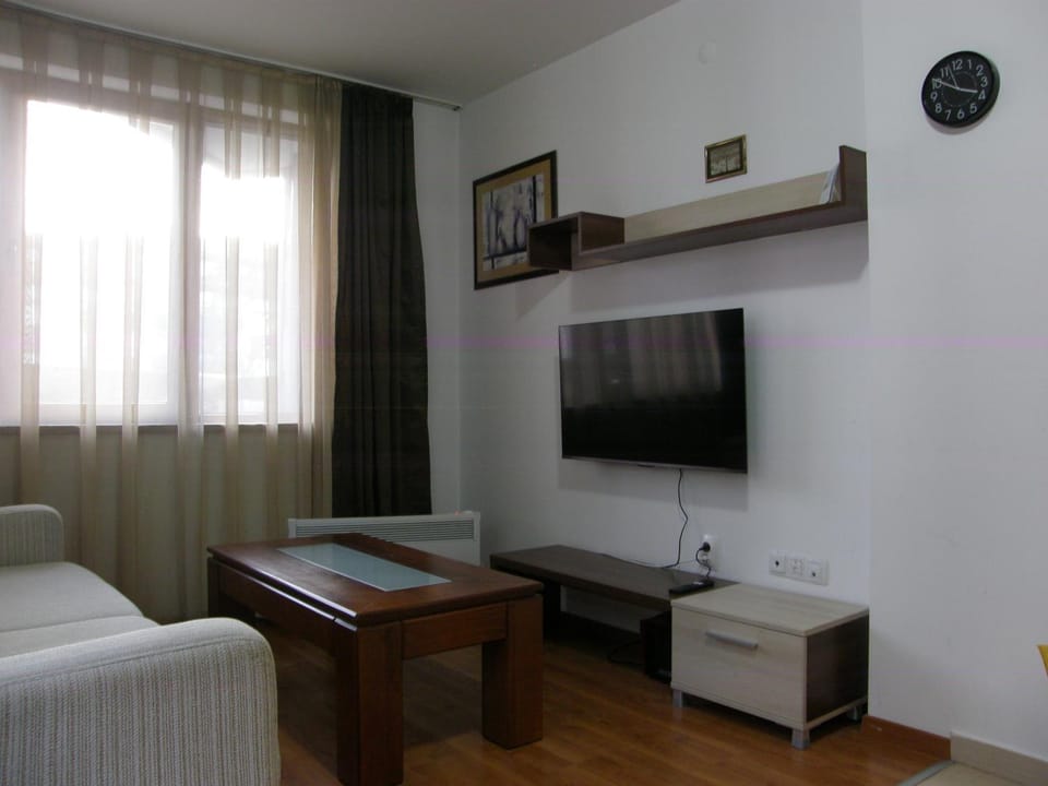 TV and multimedia