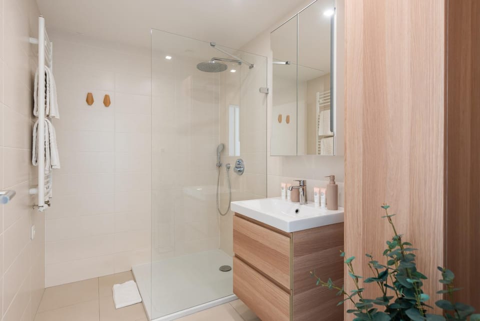 Shower, Bathroom, hair dryier, towels