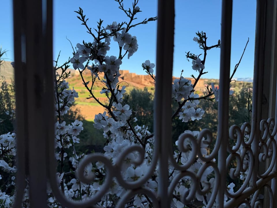 Ghali house Bed and Breakfast in Morocco