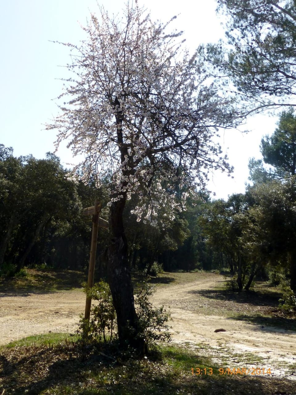 La Maison du Chichui House in Provence-Alpes-Côte d'Azur
