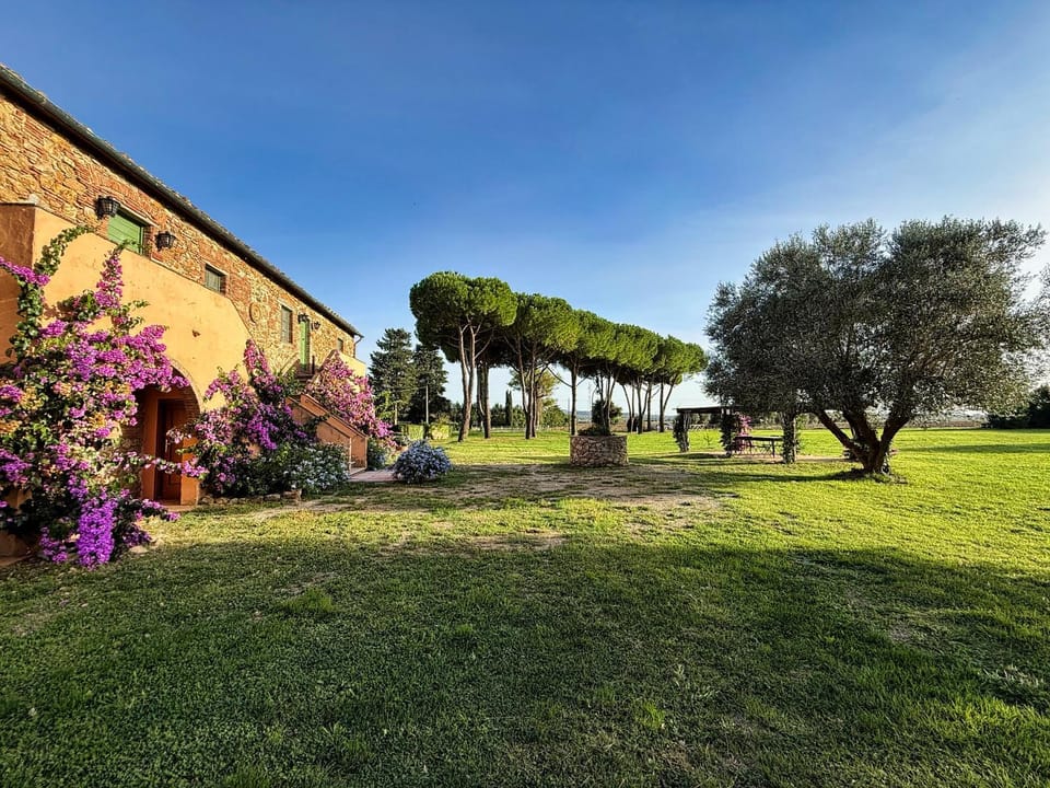 Natural landscape, Garden, Garden view