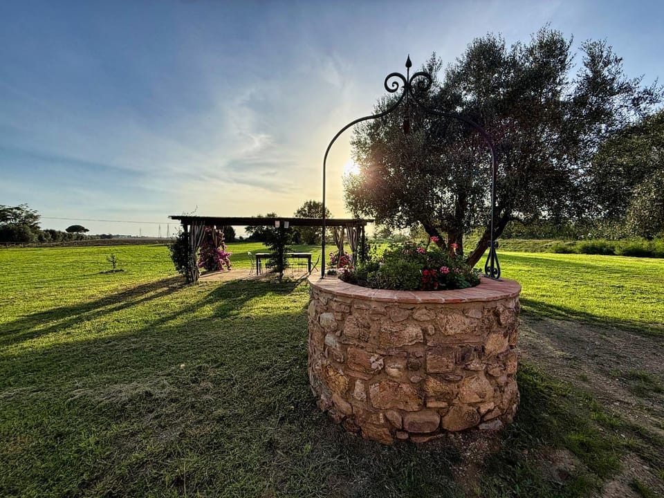 Natural landscape, Garden, Garden view, Sunset