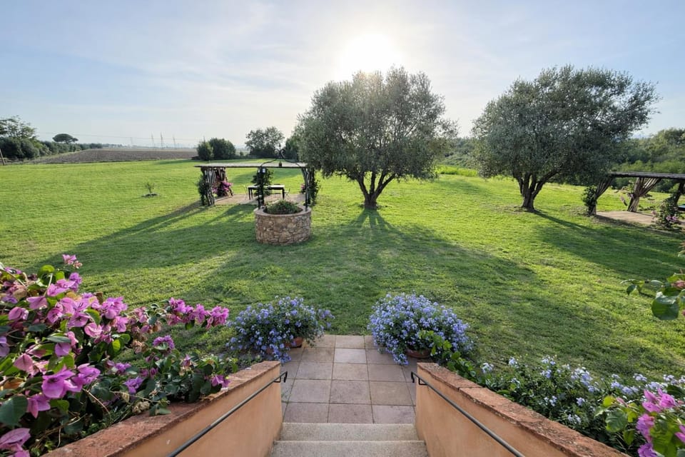 Natural landscape, Garden, Garden view