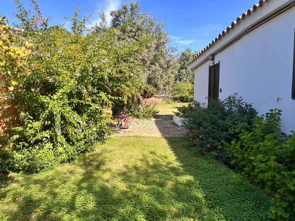 Property building, Garden view