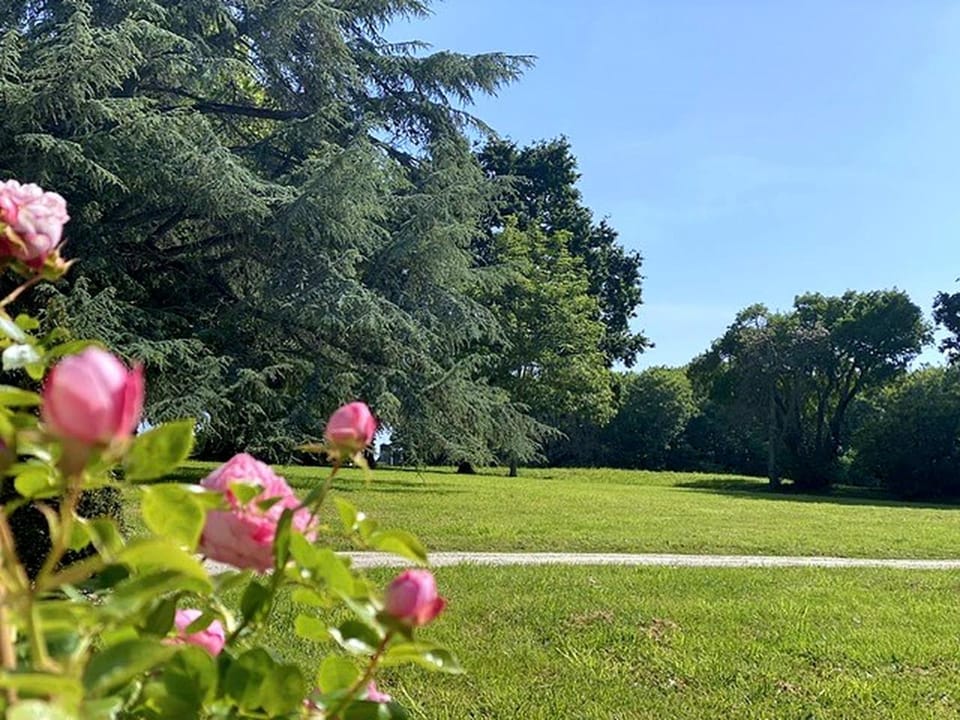 Spring, Natural landscape, Garden