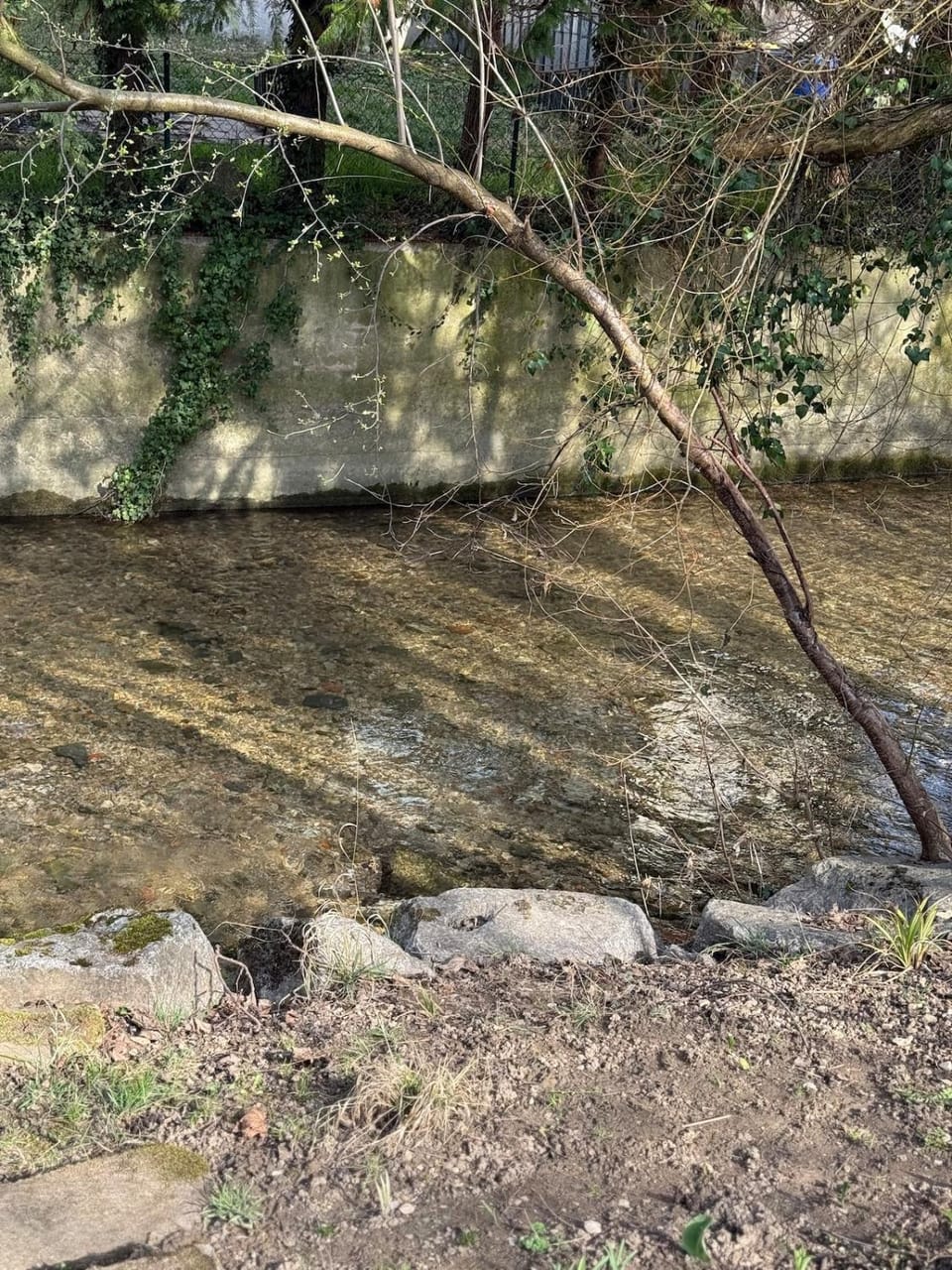 River view