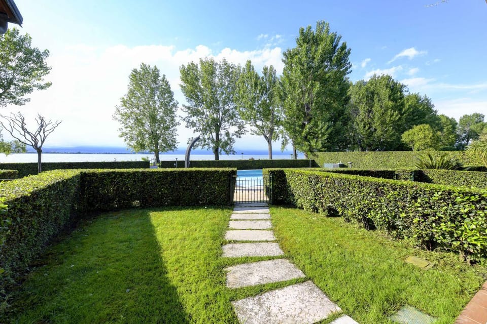 Patio, Garden, Garden view