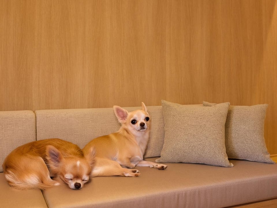 Rakuten STAY VILLA Hakone Gora - Vacation STAY 35803v House in Hakone
