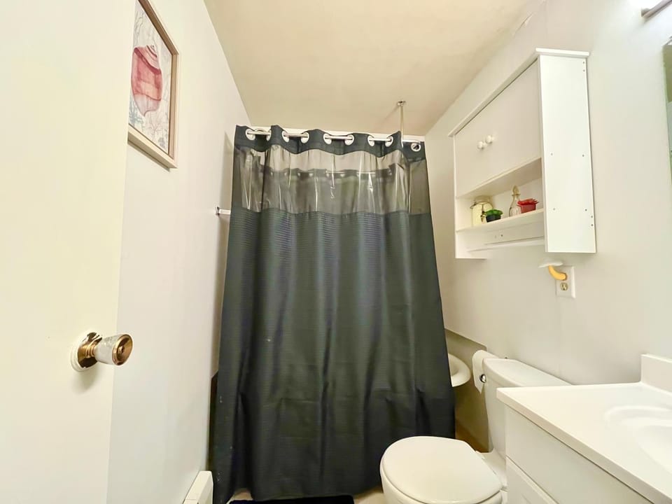 Shower, Toilet, Bathroom