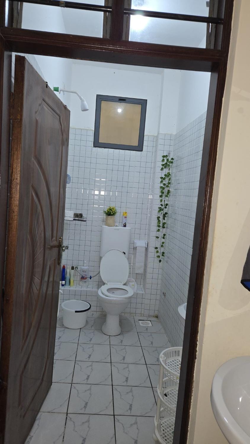 Shower, Toilet, Bathroom, bidet