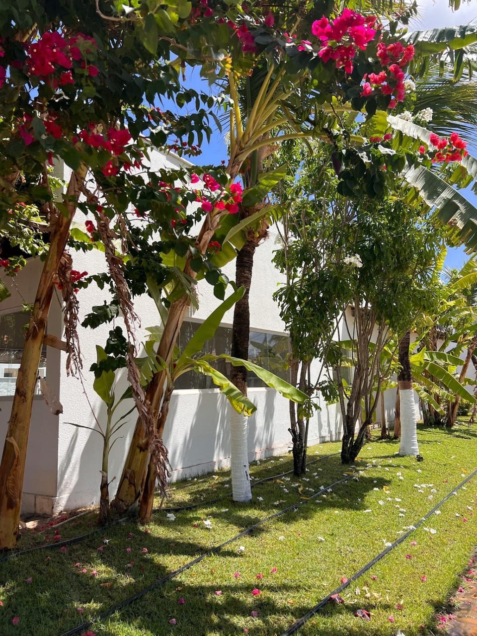 Casa com 4 suítes em condomínio há 4km de São Miguel do Gostoso House in State of Rio Grande do Norte, Brazil