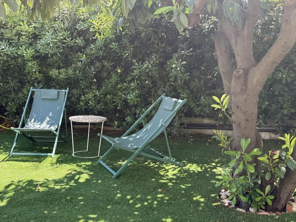 Spring, Day, Natural landscape, Garden, Garden view, sunbed